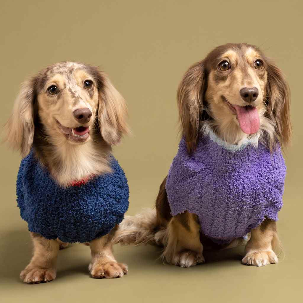 Cozy Knit Dog Sweater | Royal Blue, Periwinkle, Chocolate Fitwarm Cozy Knit Dog Sweater | Royal Blue, Periwinkle, Chocolate Fitwarm