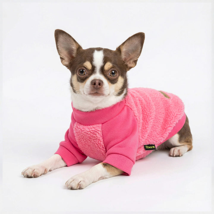 Chihuahua lying on the ground with a cozy fleece sweater for dogs