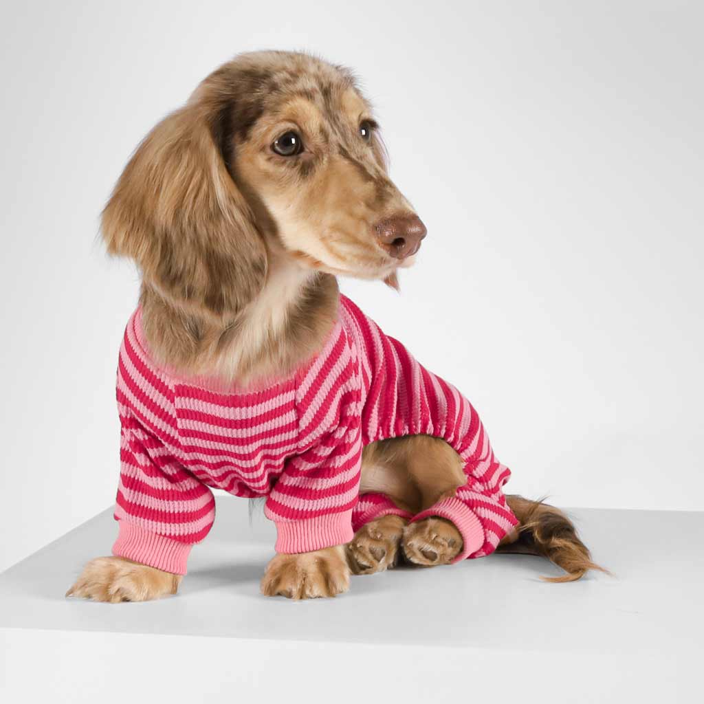 Dachshund in a Pink Dog Pajamas with Waffle Stripes - Fitwarm Dog Clothes
