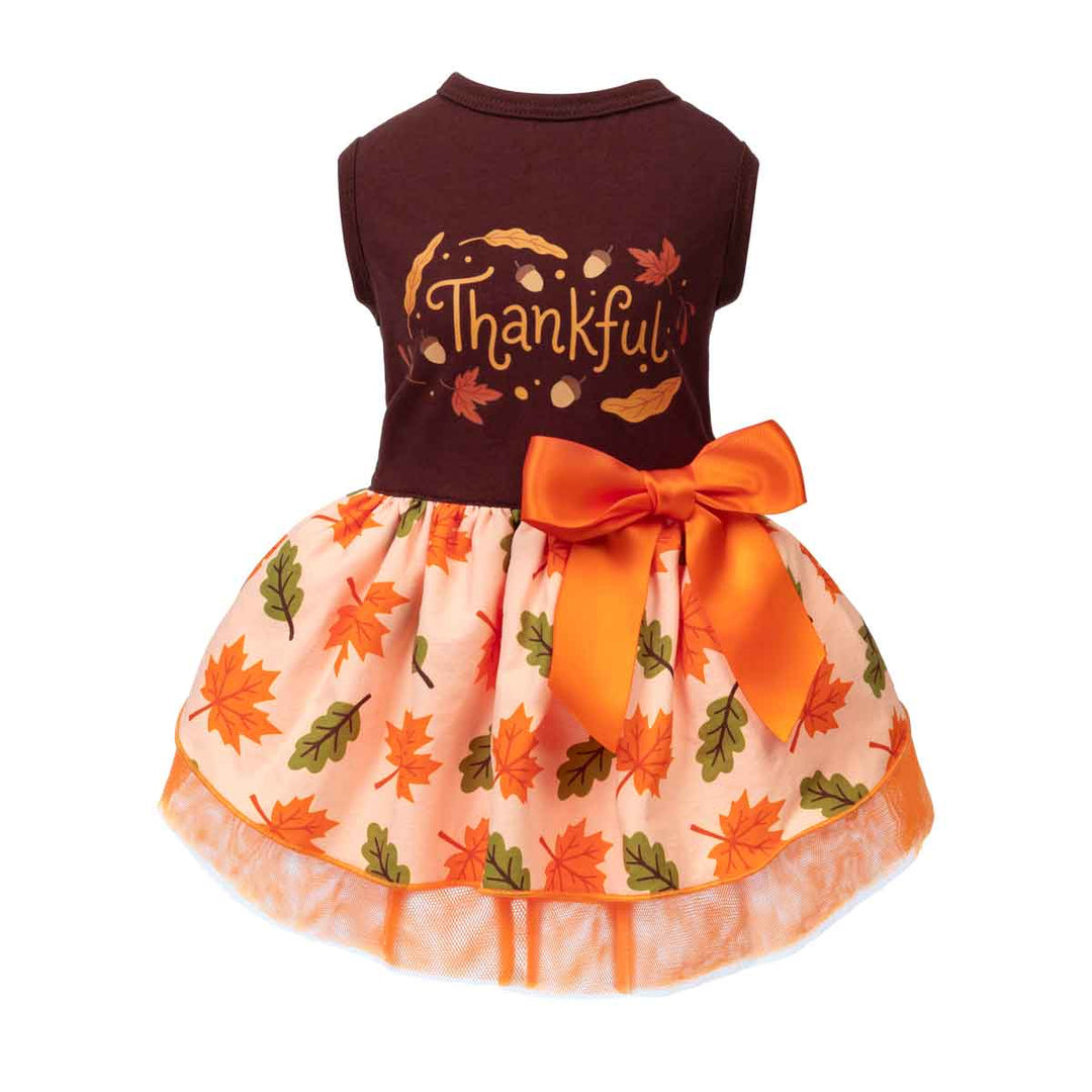 Thanksgiving dress for dogs featuring a dark brown sleeveless top with a 'Thankful' autumn leaf graphic, paired with a peach tulle skirt printed with orange and green maple leaves and a large orange satin bow