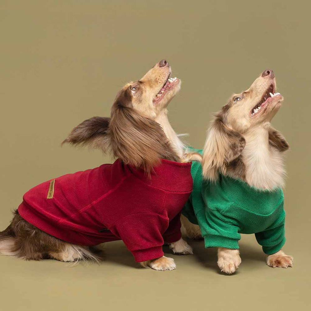 Red and Green Fleece Turtleneck Dog Sweaters on Dachshunds from Fitwarm; warm and stylish apparel for small dogs
