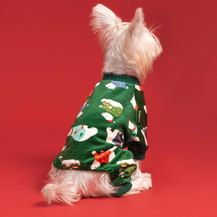 Adorable pup dressed in festive dog onesie featuring white polar bears in Christmas sweaters