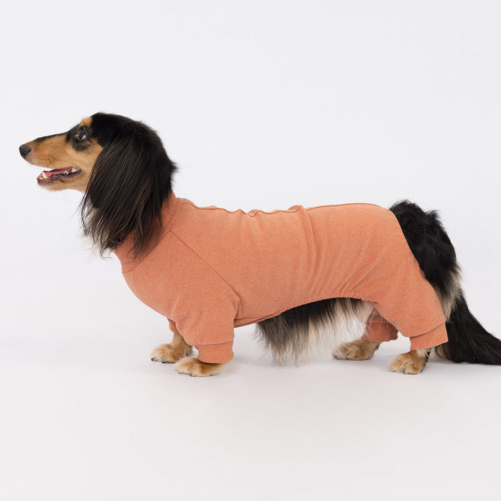 Dachshund standing in orange dog pajamas on white background, facing left with tail down.