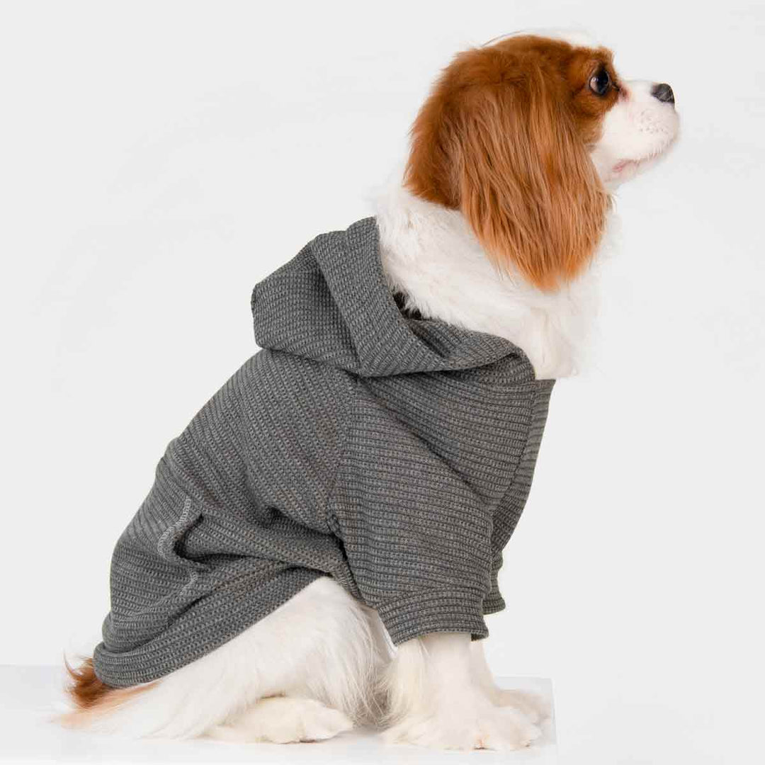 King Charles Spaniel in a Silver Waffle Dog Hoodie - Fitwarm Dog Clothes