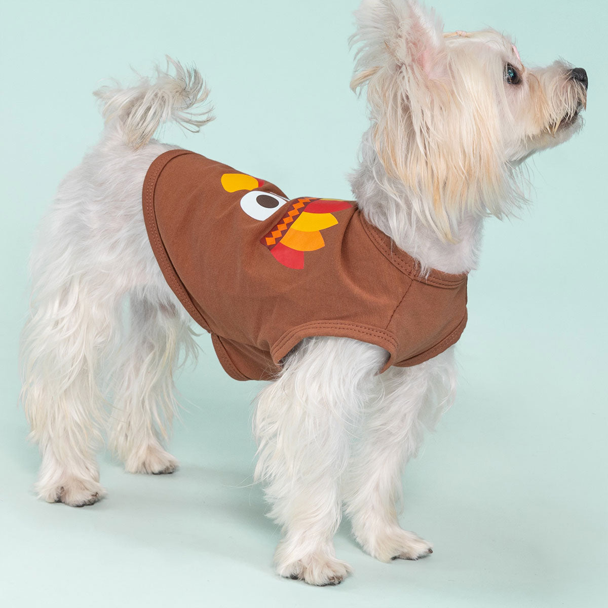 Patriotisches Hunde-Shirt Für Kleine Hunde – Lustig, Bequem Und Perfekt Für Feiern