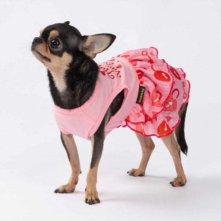 Small pup in a valentine dog tutu dress featuring red heart prints and ruffled skirt