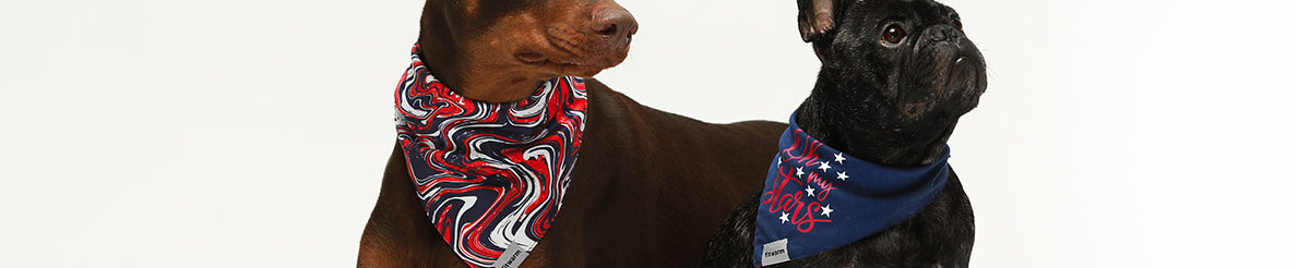 Dog Bandanas | Dog Summer Accessories | Dog Accessories | Fitwarm