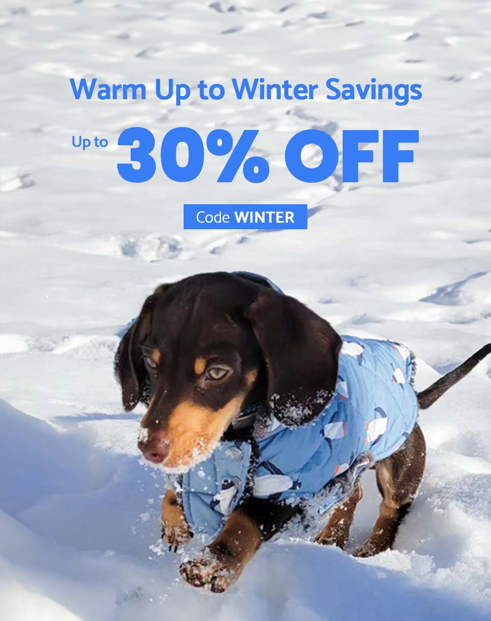 Winter Collection - Cozy Coat with Penguin Patterns - 30% Off Dog Winter Clothes - Fitwarm Dog Clothes