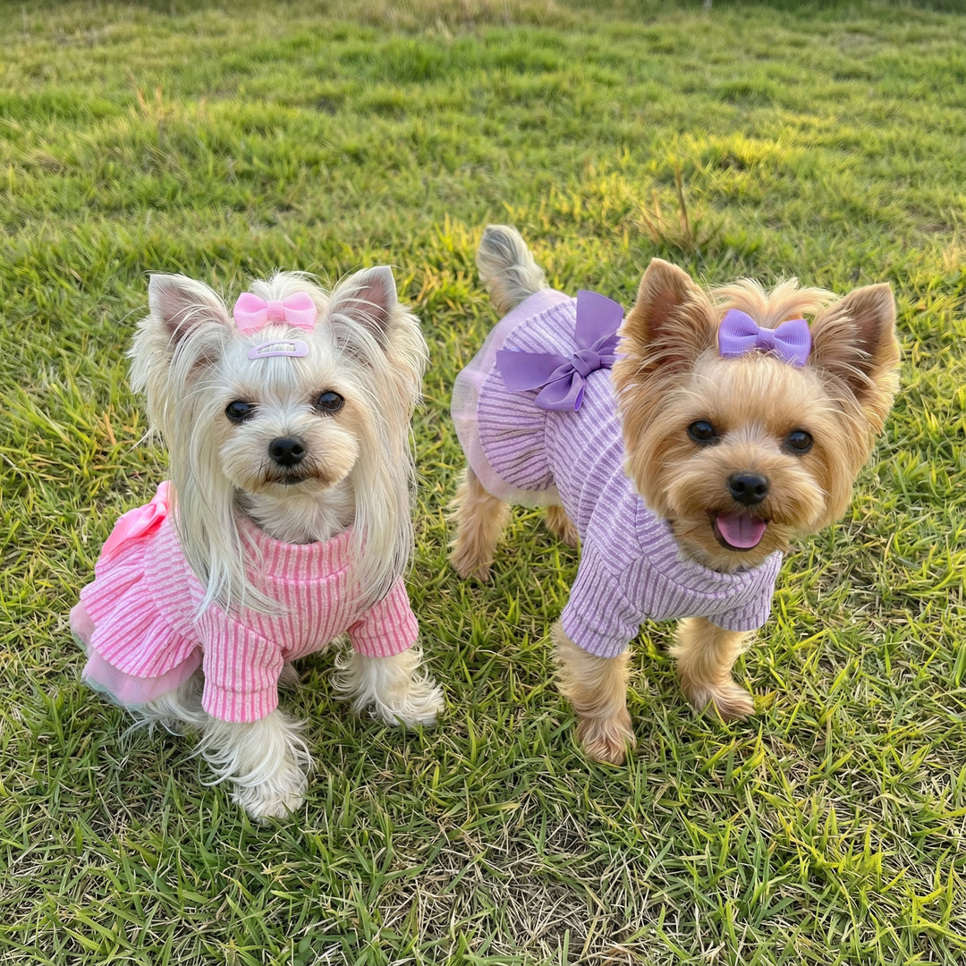 Knitted dog dress shown on two small dogs outdoors with bow details