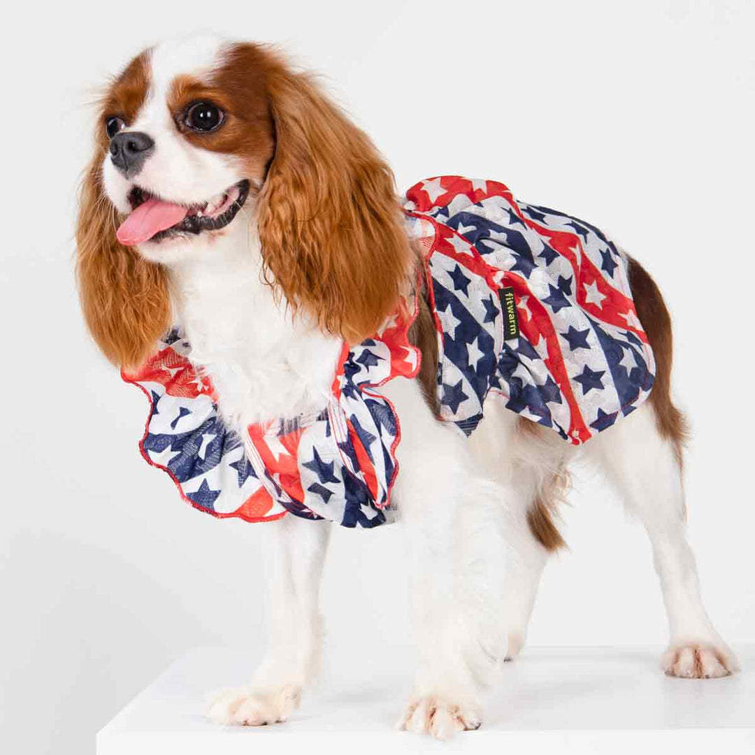 King Charles Spaniel in a Patriotic Red, White, and Blue Stars Dog Dress - Fitwarm Dog Clothes