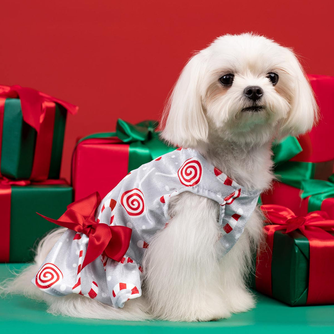 Candy Cane Christmas Dog Dress | Velvet Pet Holiday Outfit Fitwarm Candy Cane Christmas Dog Dress | Velvet Pet Holiday Outfit Fitwarm