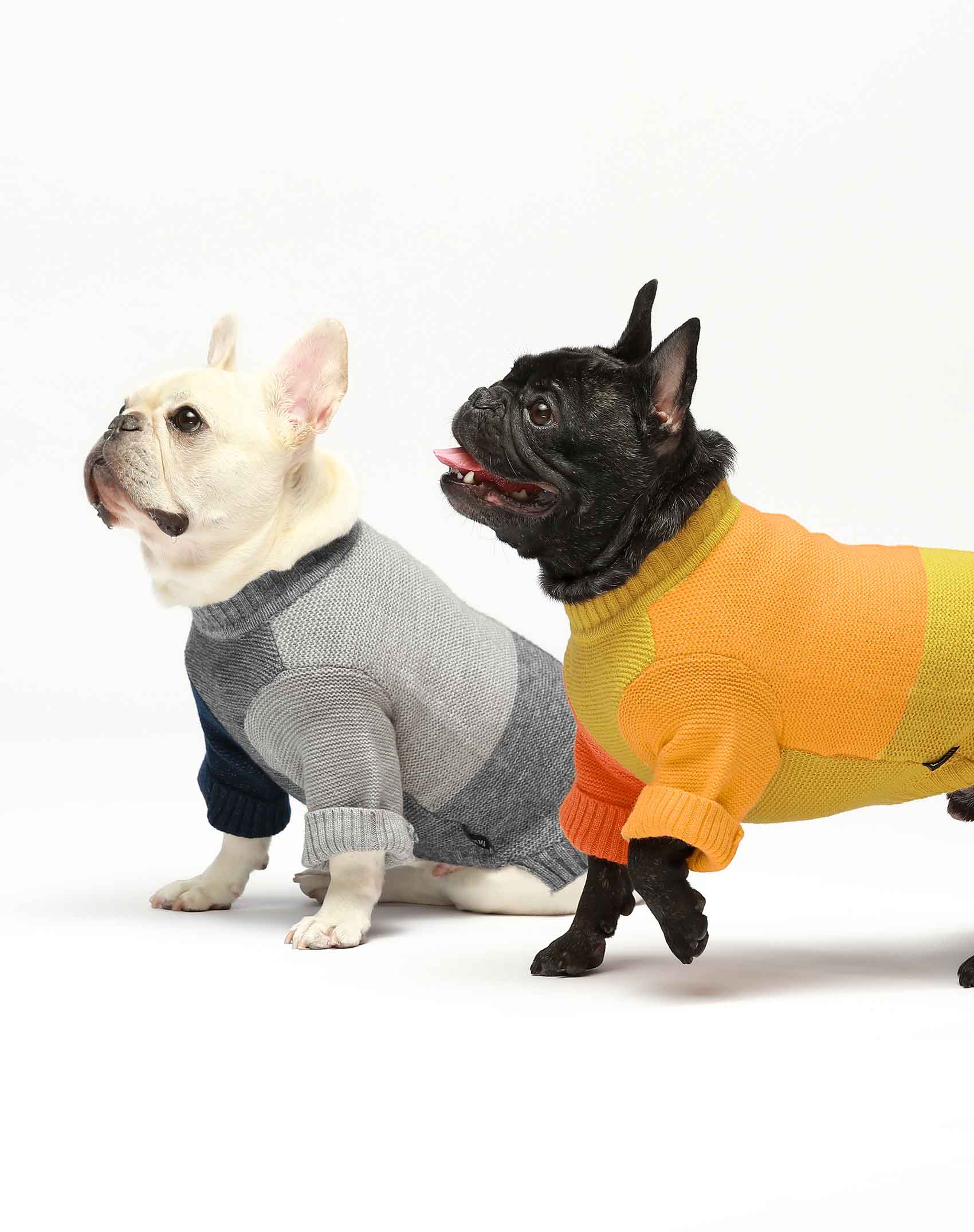 Dog Sweater - Sweaters for Fall and Winter - Thermal and Cozy Dog Sweatshirts - Fitwarm
