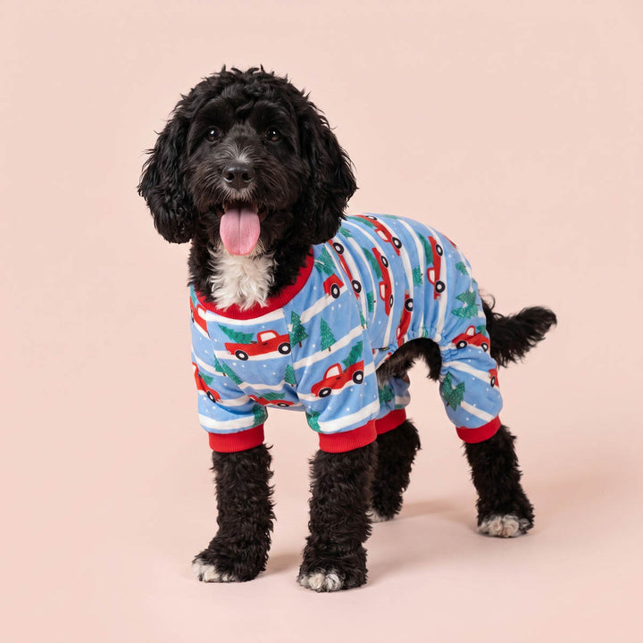 Black poodle wearing a light blue holiday pajama for dogs  with red car and green tree prints, standing against a solid pale pink background