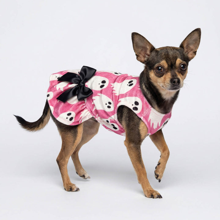 Spooky dog Halloween dress on a small Chihuahua