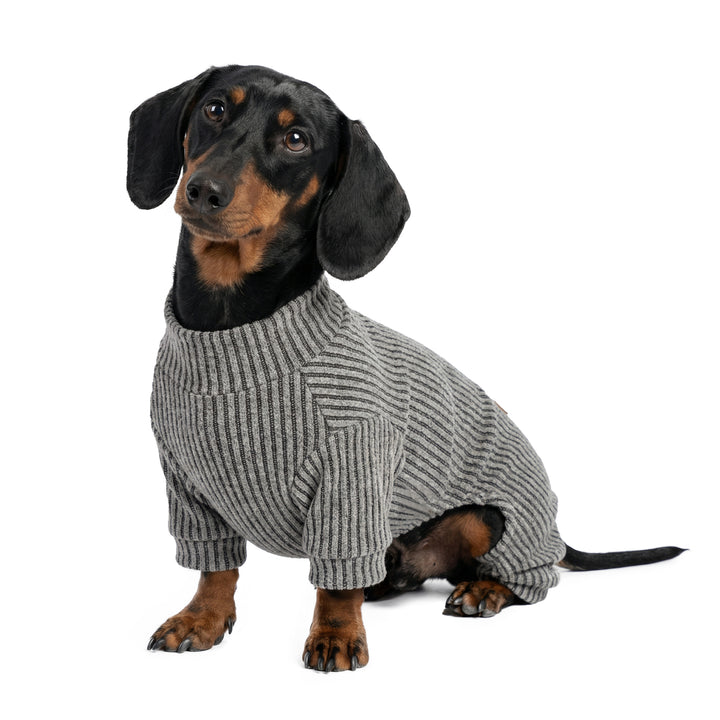 Dachshund sitting calmly in textured knitted dog onesie