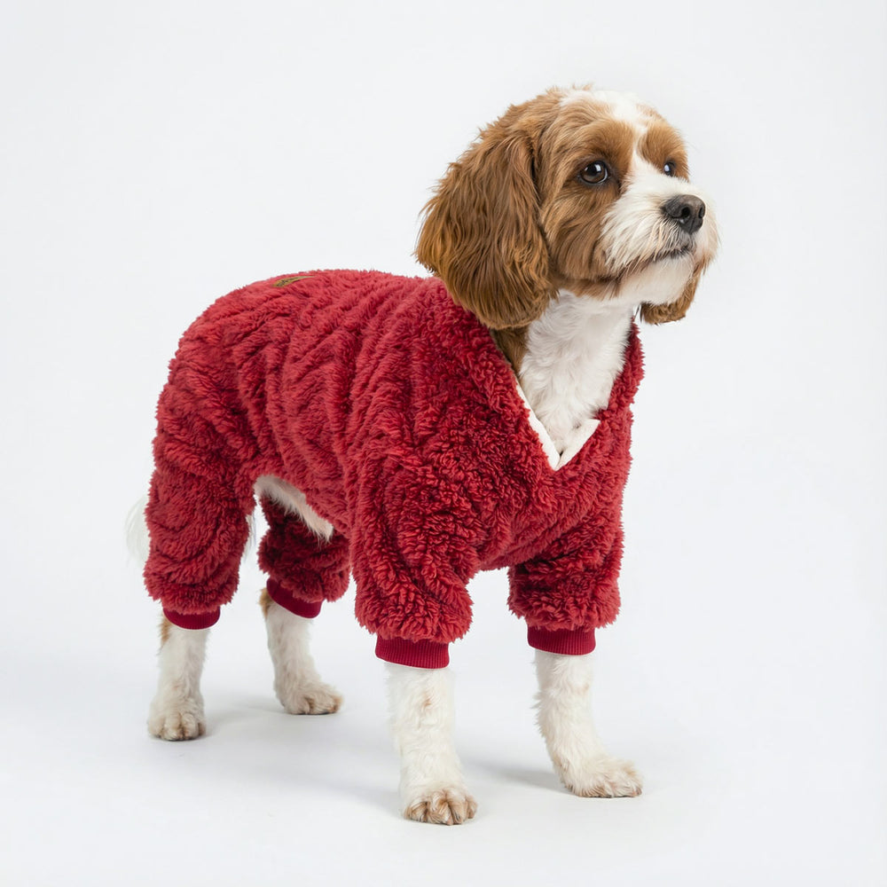 Small dog wearing red dog pjs with a collared neck, standing against a white studio background.