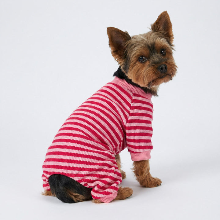 Yorkie sitting in soft pink striped dog onesie designed for comfort