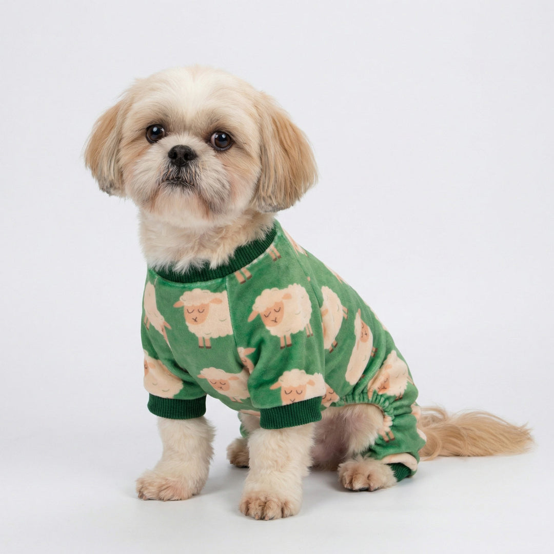 Small dog sitting in a soft dog pajamas with all over sheep print