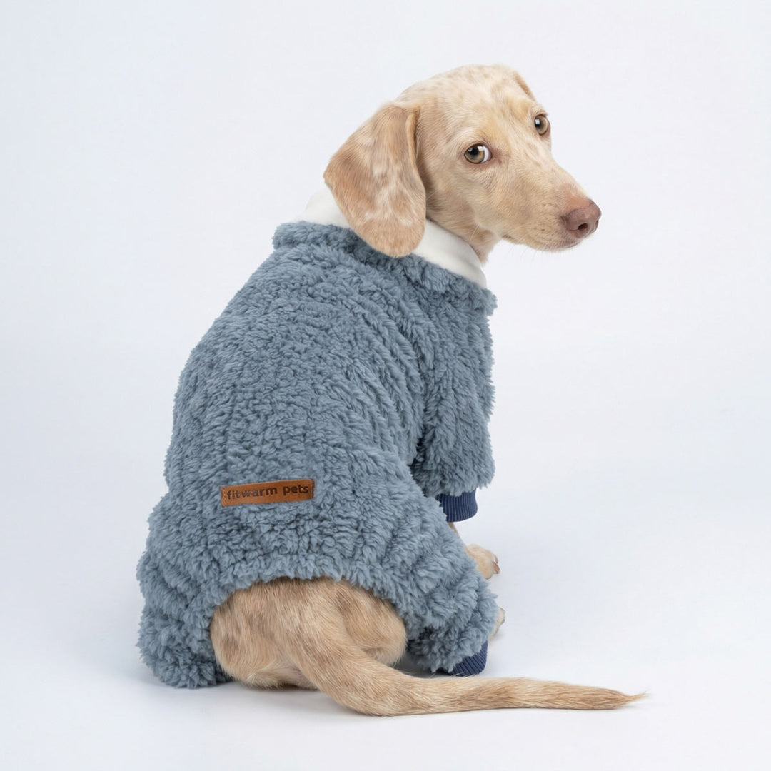 Dachshund wearing blue dog fleece pajamas with collared neck design sitting on white studio background