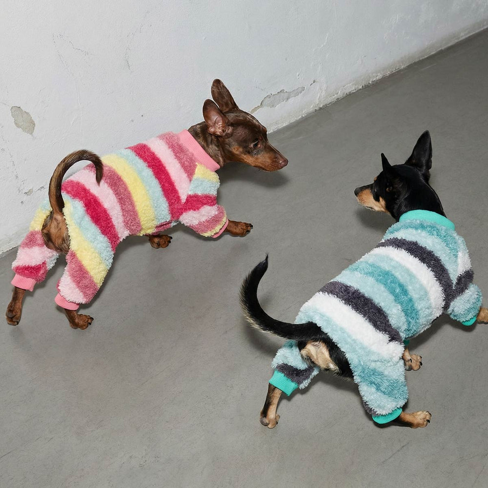 Two dogs wearing colorful striped pajamas for dogs on a concrete floor.