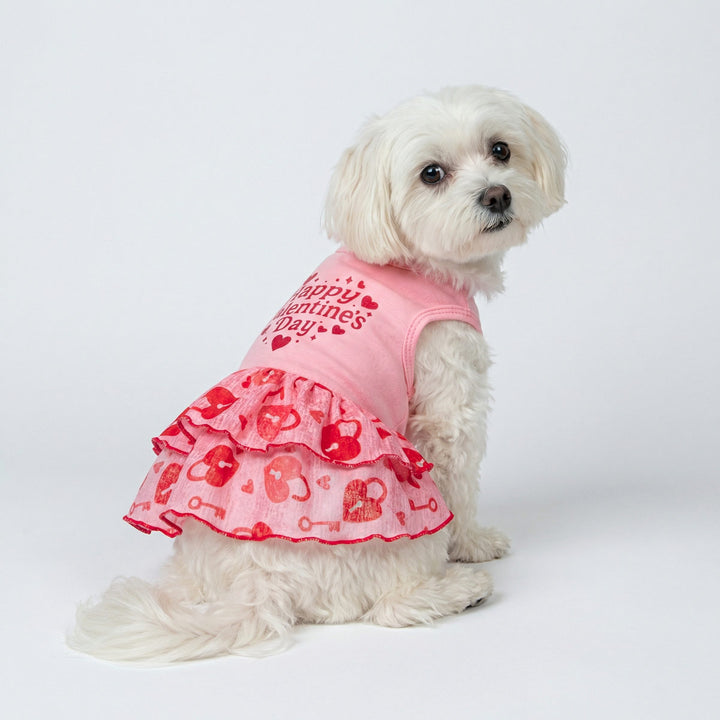 White dog wearing pink valentine dog dress with heart prints and tiered ruffle design