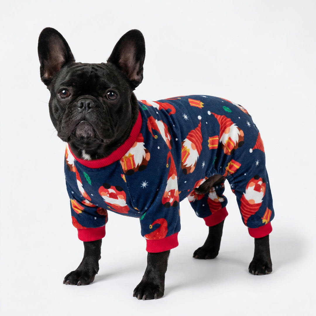 French Bulldog wearing a festive pajama for dogs with Santa Claus design on a white background