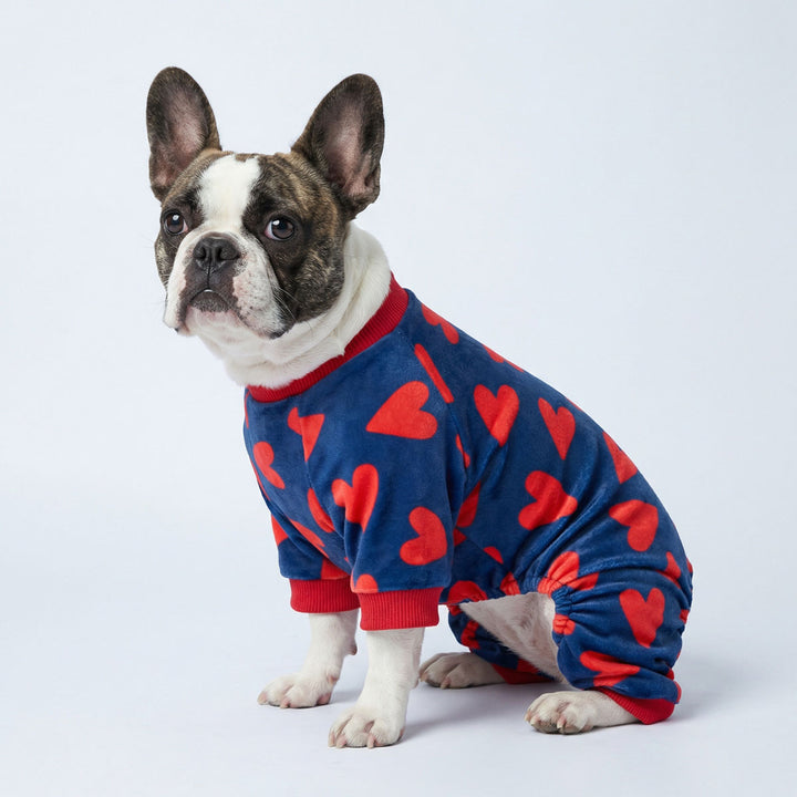 French Bulldog wearing a blue dog onesie with red heart patterns on a white background