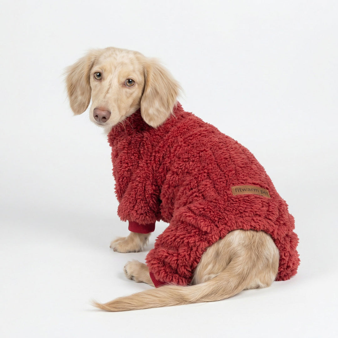 Long haired dachshund in a cozy fluffy dog onesie with collared neck design