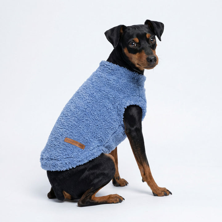 Small dog sitting with a fuzzy sweater for dogs