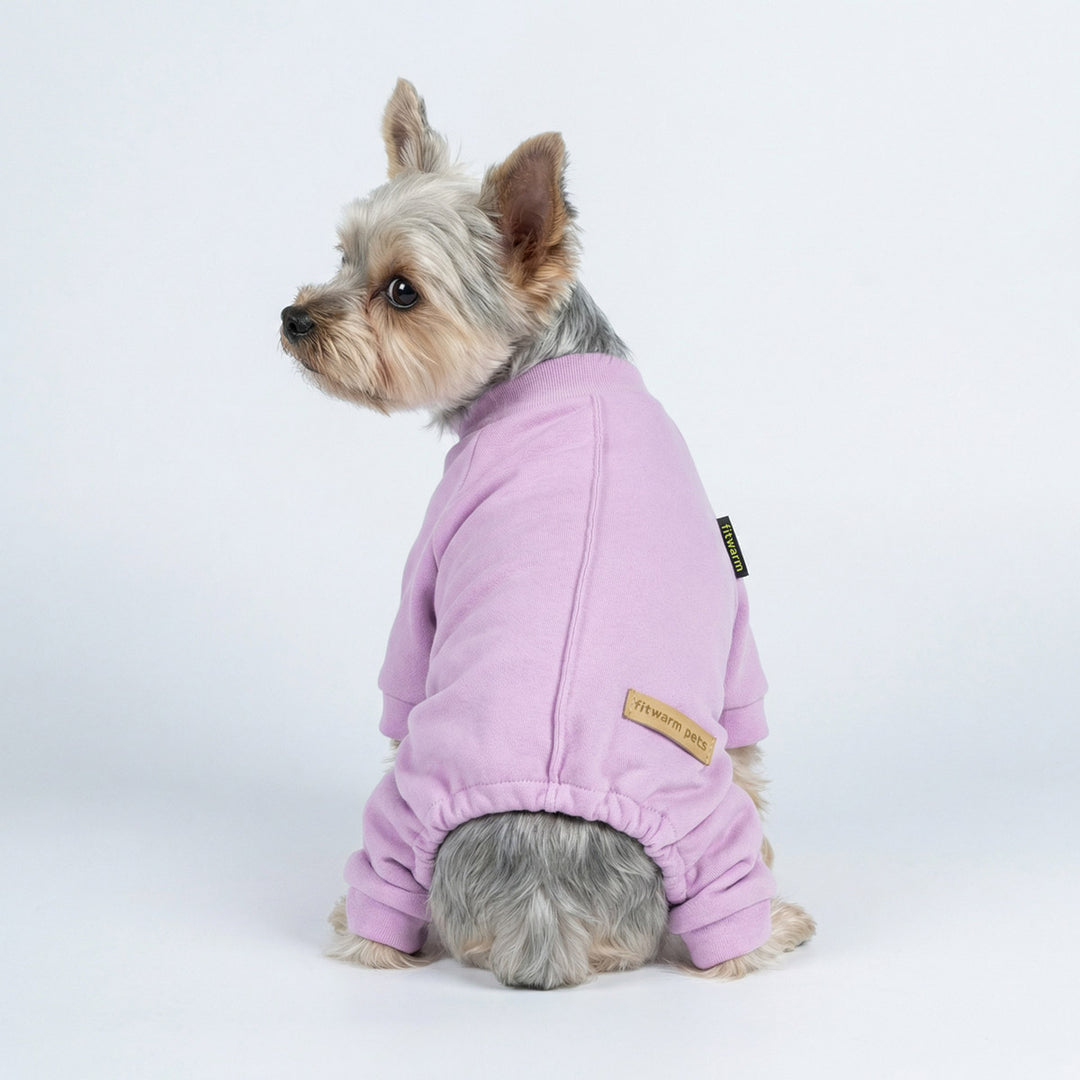 Back view of dog dressed in cozy dog pajamas in light purple tone