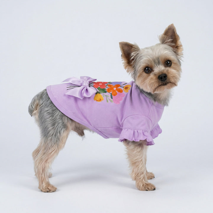 Dog wearing a purple dog t shirt with floral design on a white background