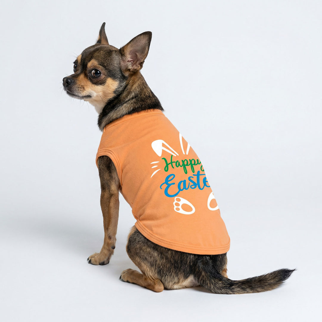 Chihuahua wearing a orange dog shirt with 'Happy Easter' lettering and rabbit prints