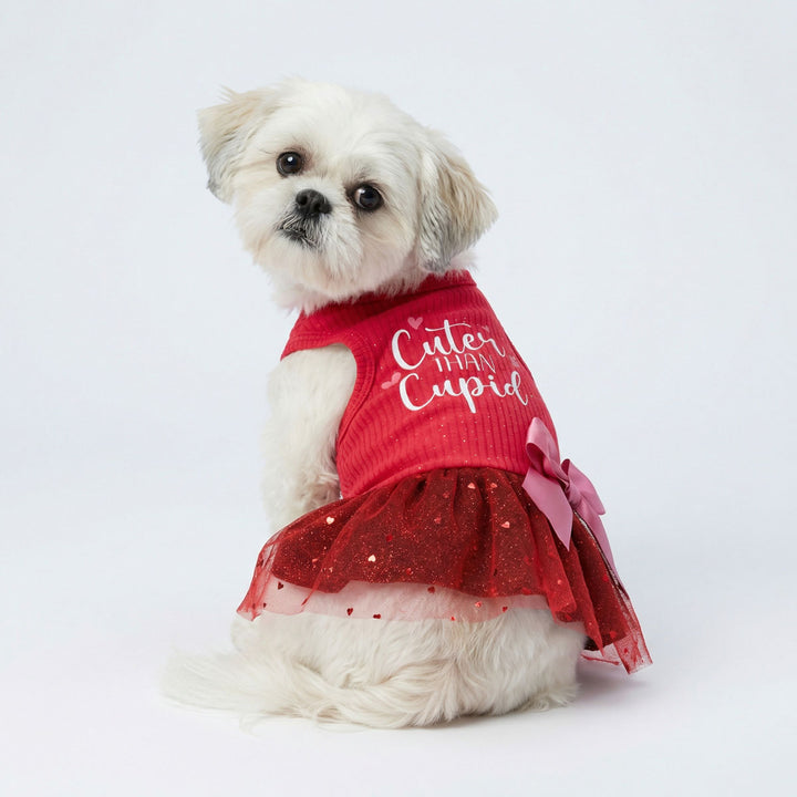 Small white dog wearing a red Valentine's Day dress for dog with 'Cuter Than Cupid' lettering on a white background