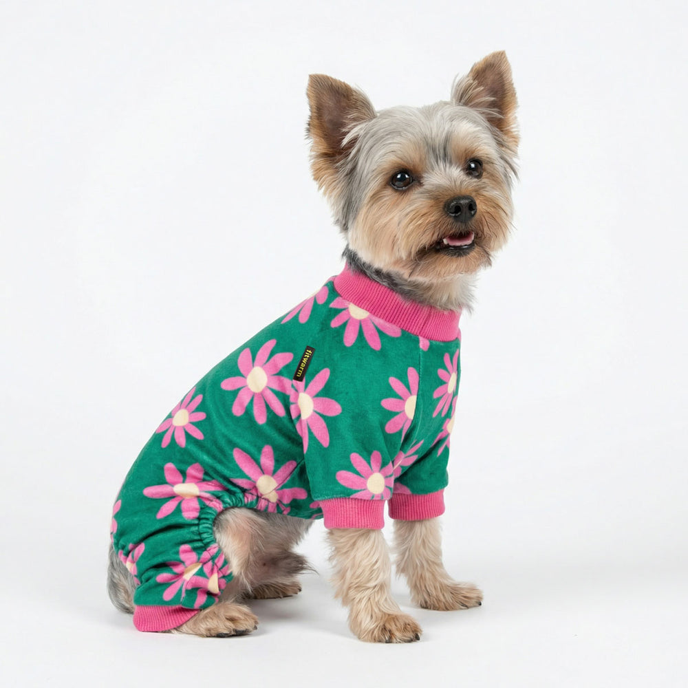 Yorkie wearing a green and pink floral dog pjs and sitting on a white background