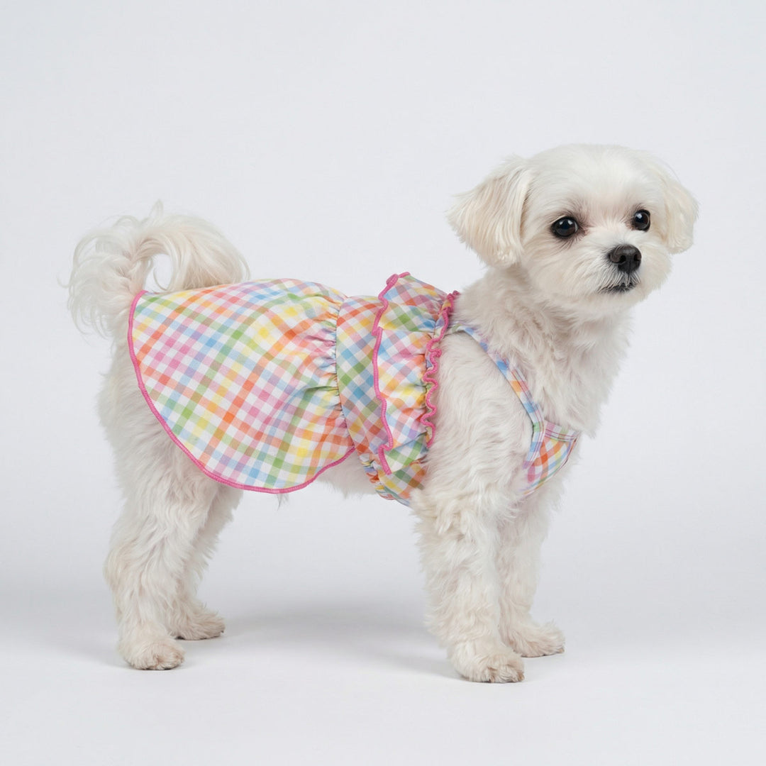 Small white dog wearing a colorful plaid dress for dogs with ruffle design