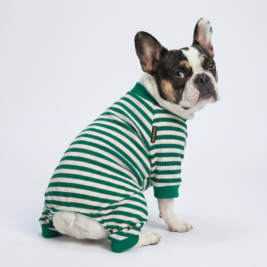 Boston Terrier wearing a green and white striped pajamas for dogs