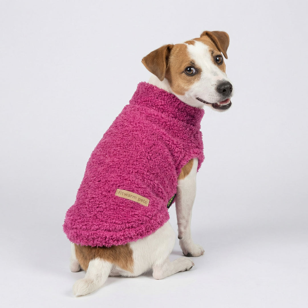 Small dog looks back with a pink fuzzy winter sweater for dogs on a white background