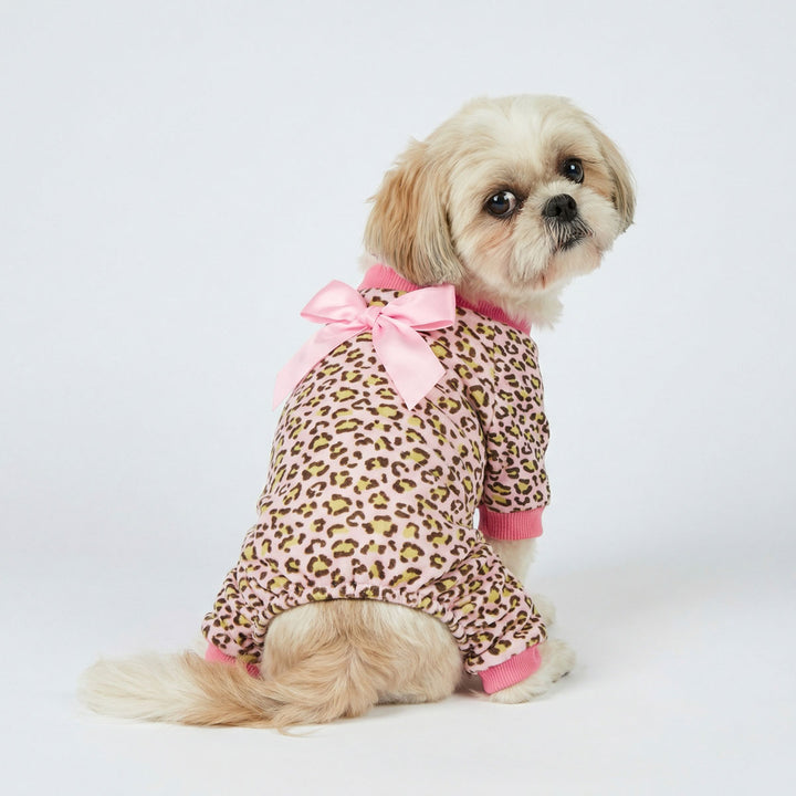 Cute small dog sitting in leopard dog pajamas with a bowknot