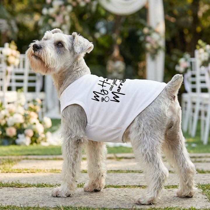 Small dog standing in a wedding wearing a white dog shirt with “my human are getting married” lettering
