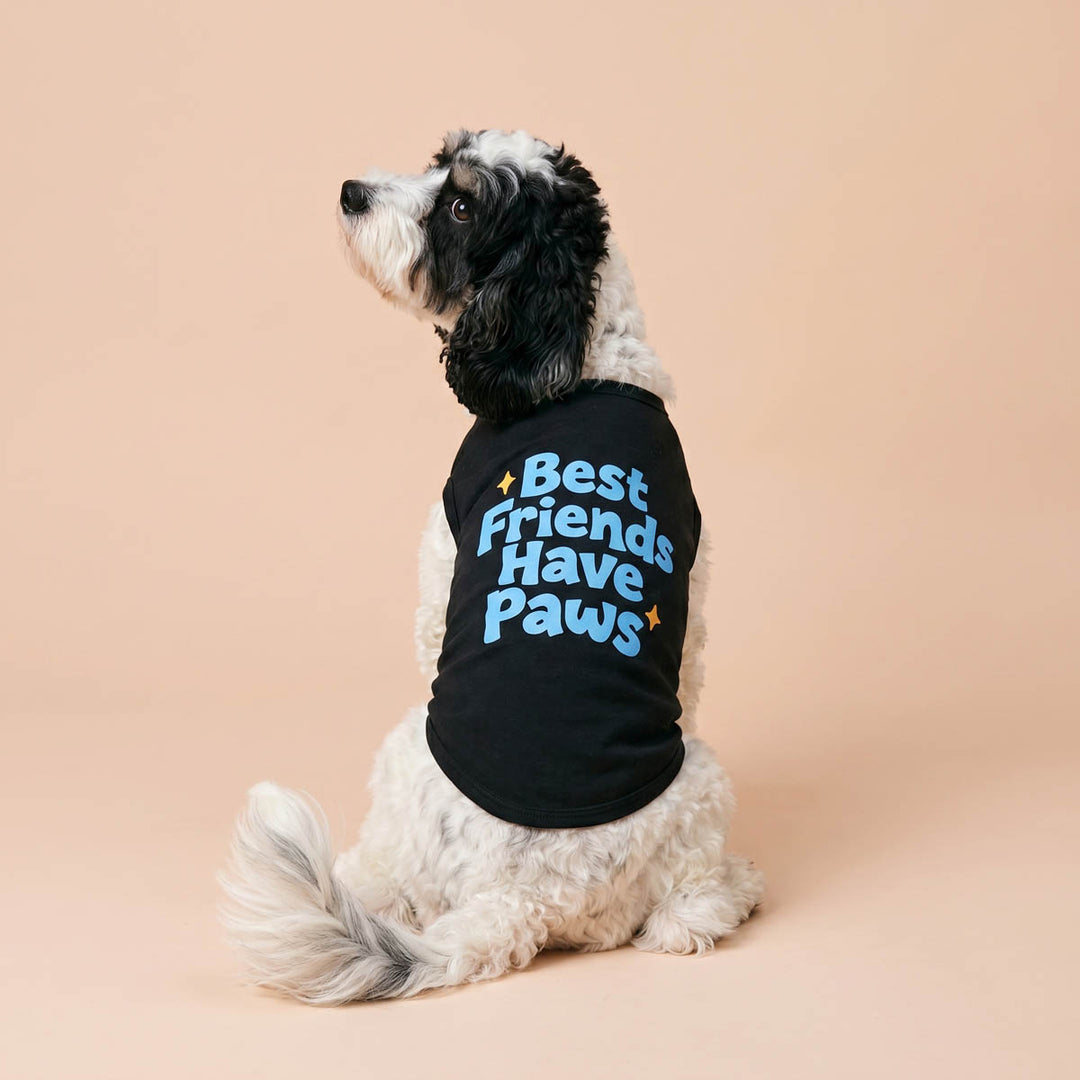 Back view of small dog in a 'Best friends have paws' dog summer shirt