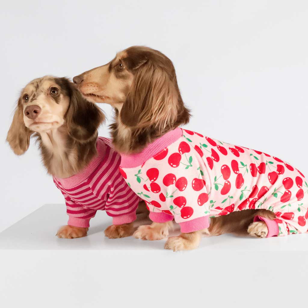 Dachshunds in Pink Waffle Stripes Dog Pajamas - Fitwarm Dog Clothes 