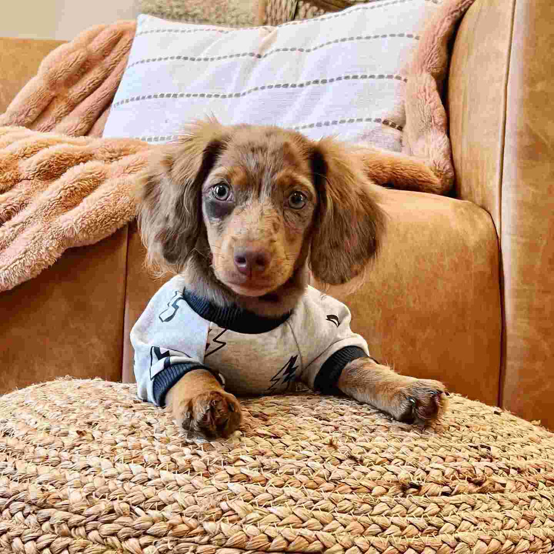 Dog Pajamas Onesie with Feet - Dachshund Clothes - Fitwarm