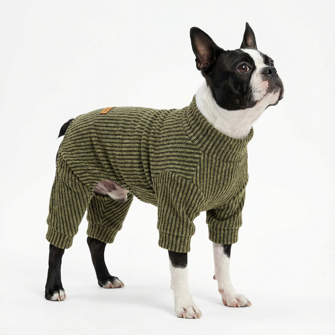 Boston terrier wearing green ribbed dog pjs with mock neck
