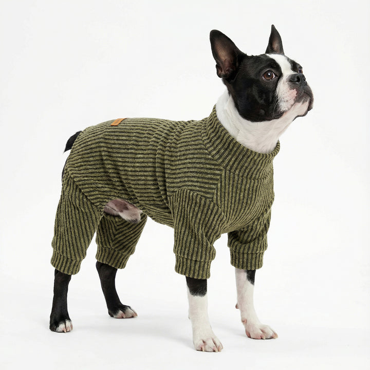 Boston terrier wearing green ribbed dog pjs with mock neck