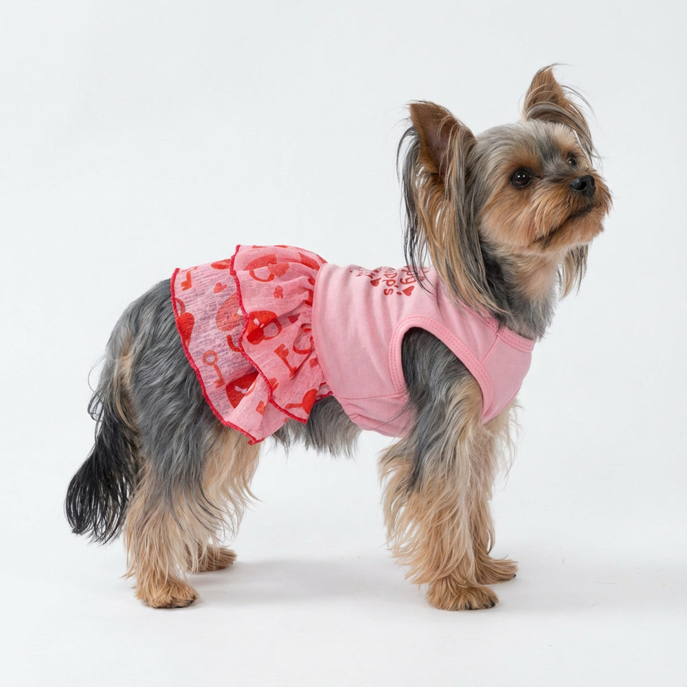 Yorkshire terrier dressed in pink dog dress featuring romantic Valentine heart patterns