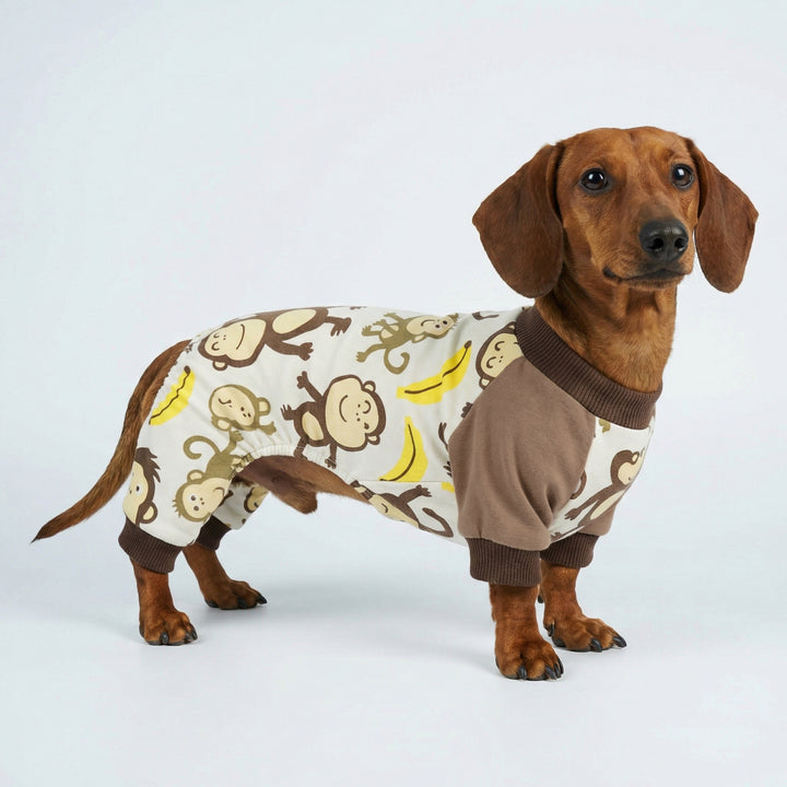 Adorable monkey pajamas for dogs on a Dachshund