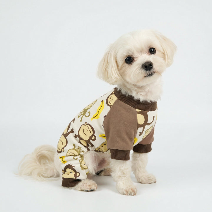 Small dog sitting on the ground with cozy dog onesie with monkey prints