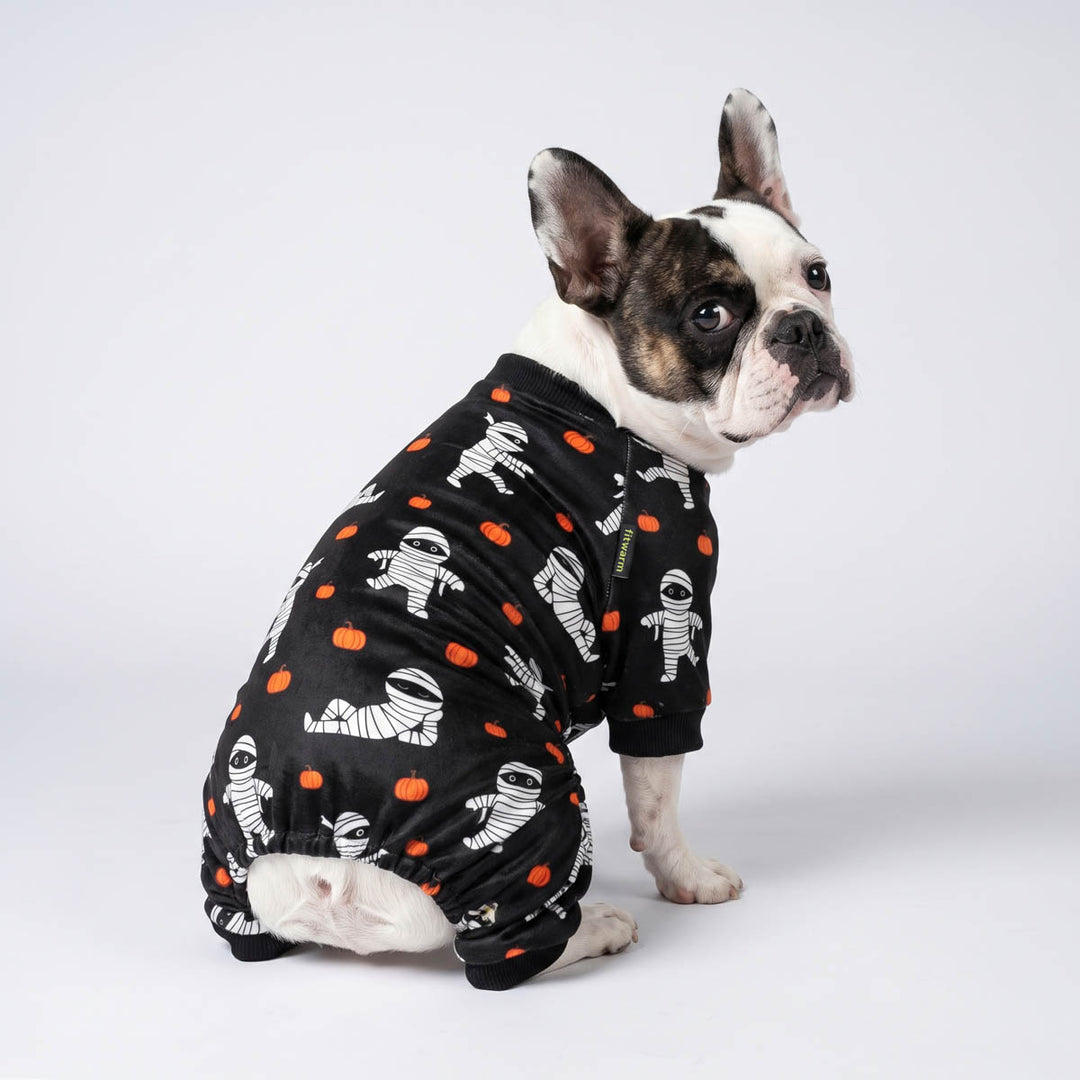 Boston Terrier dog wearing a black Halloween-themed pajamas for dogs with white mummies and orange pumpkins, photographed against a light gray studio background