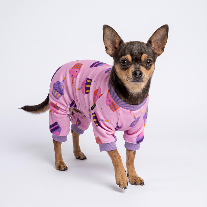 Small Chihuahua wearing pink long-sleeve pajamas for dogs with a purple and pink cupcake print, standing against a plain white studio background