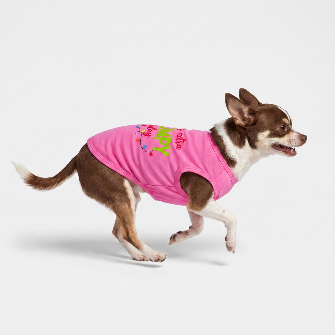 Small brown and white dog running to the right while wearing a bright pink dog tshirt with colorful text that reads 'Happy Birthday' on a light gray studio background.